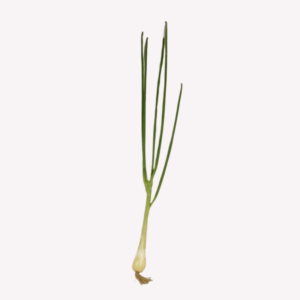Spring Onion